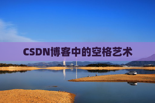 CSDN博客中的空格艺术